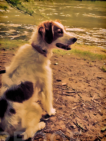 Lady by River