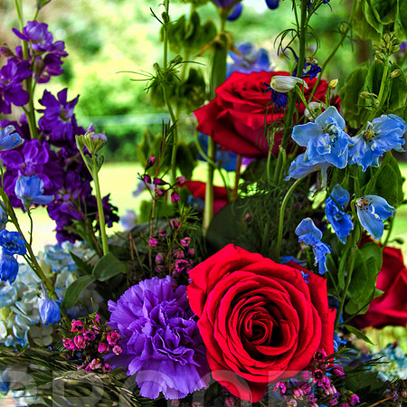 flowers 8213
