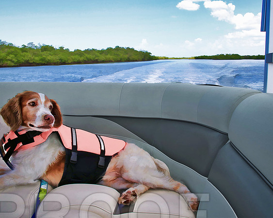 boat bz II4130 relaxing