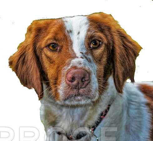 intense eyes 085