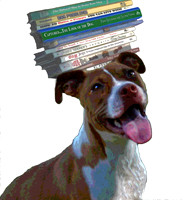 books and hound