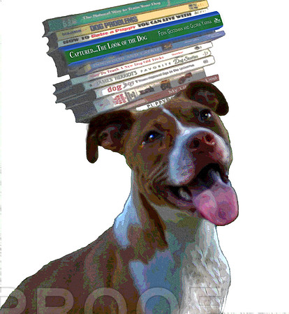 books and hound