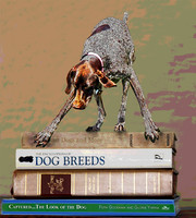books and gsp