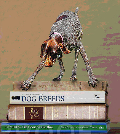 books and gsp