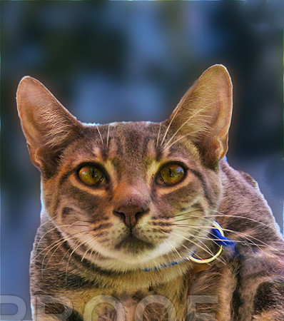 Tigger 2