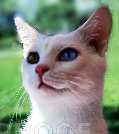 Smudge 1