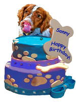 dog birthday w xtr bone