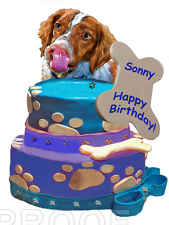 dog birthday w xtr bone