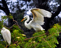 Ready for Take-off 122