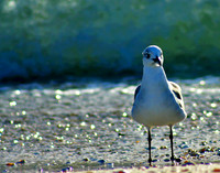 Water Logged 062