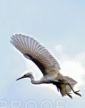 Tyrannosaurus Birdus 151