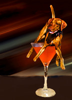 char tgif