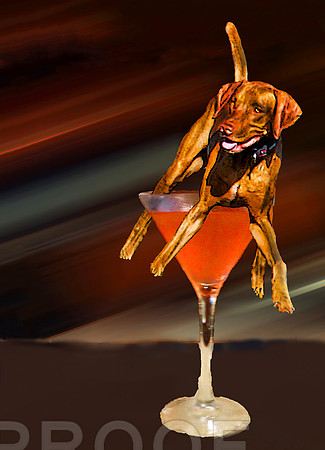 char tgif