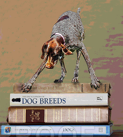 books and gsp pstr
