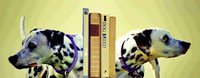 bookends Dals stlized