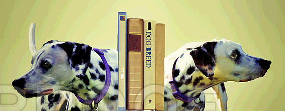 bookends  Dals stlized