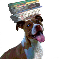 books on dogs head stlzd