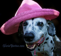 mmd dog w pink hat