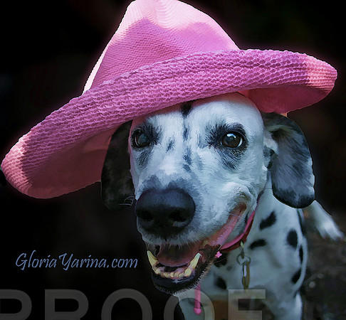 mmd dog w pink hat
