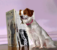 book lady