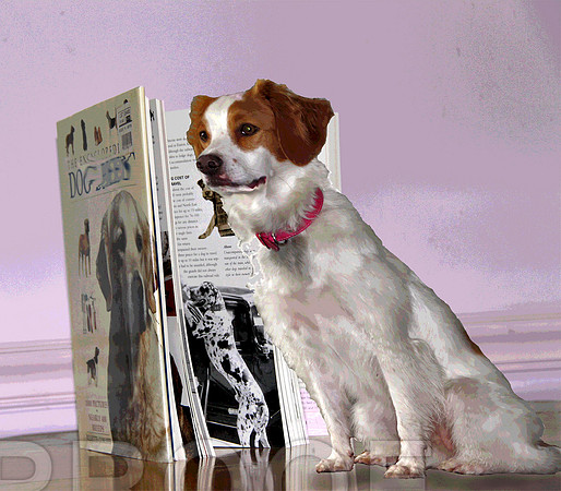 book lady
