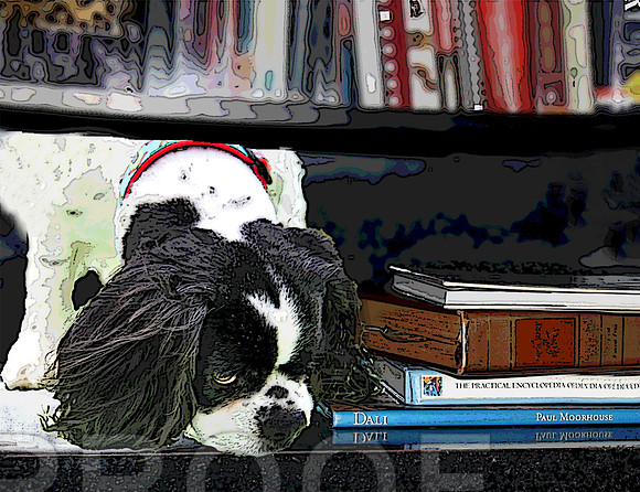 books and cavalier pstr