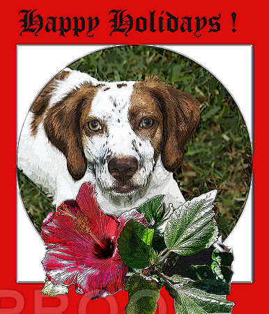 Frame 3 w/ dog
