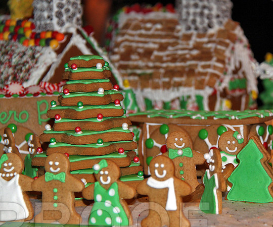 ft ginger bread hse 0749