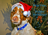 Miss You, Happy Holidays