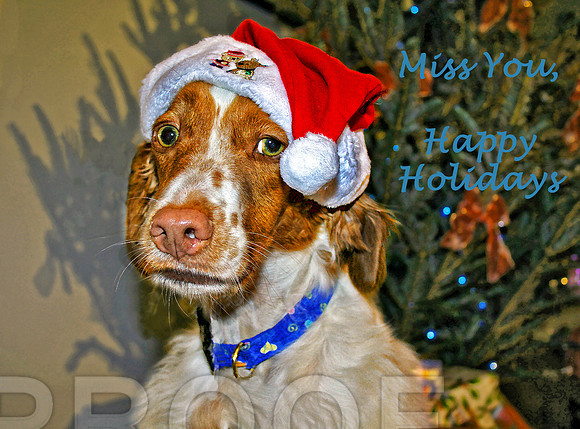 Miss You, Happy Holidays