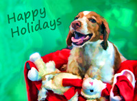 hh dog w toys