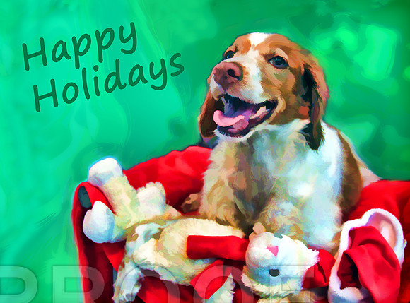 hh dog w toys
