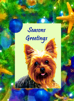 Frame 1 w/ yorkie