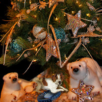 ft tree w Brittany added