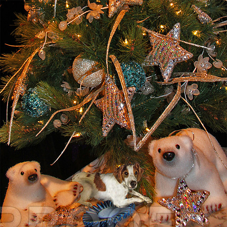 ft tree w Brittany added