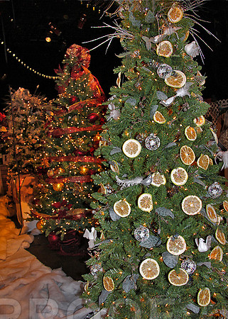 ft grpfrt Christmas tree