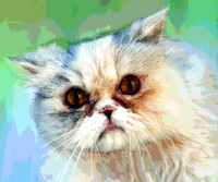 Persian Picture