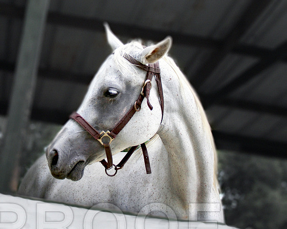 Stately