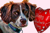 Happy Valentines' Day