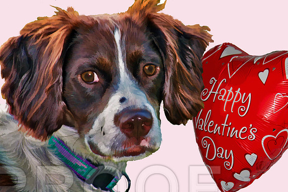 happy valentines day