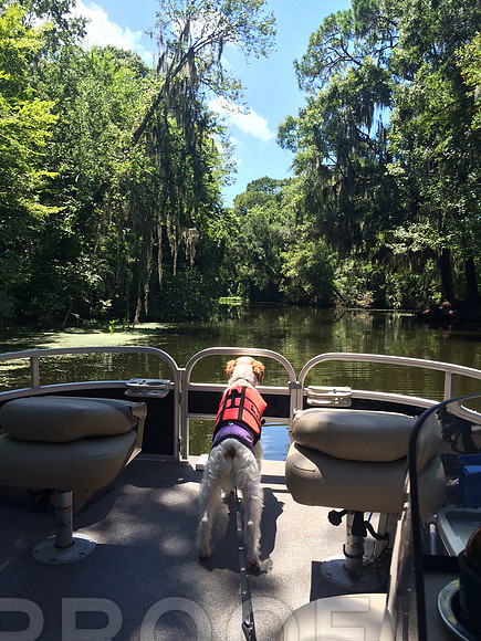 lady looking out back of boat4114