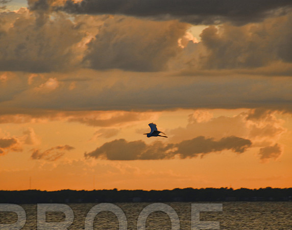 Eustis IMG_0423