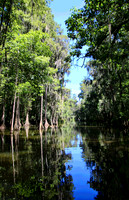 Eustis 0388