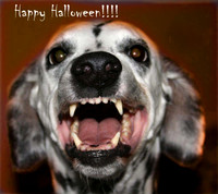 happy halloween dalmatian