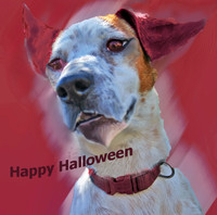 happy halloween creepy