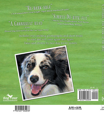 Captured The Look of the Dog back cover