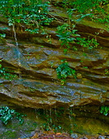 falls trickle 2364
