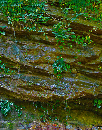 falls trickle 2364