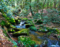 falls 2129