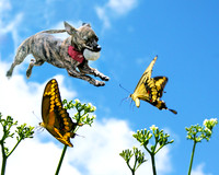 Good Catch